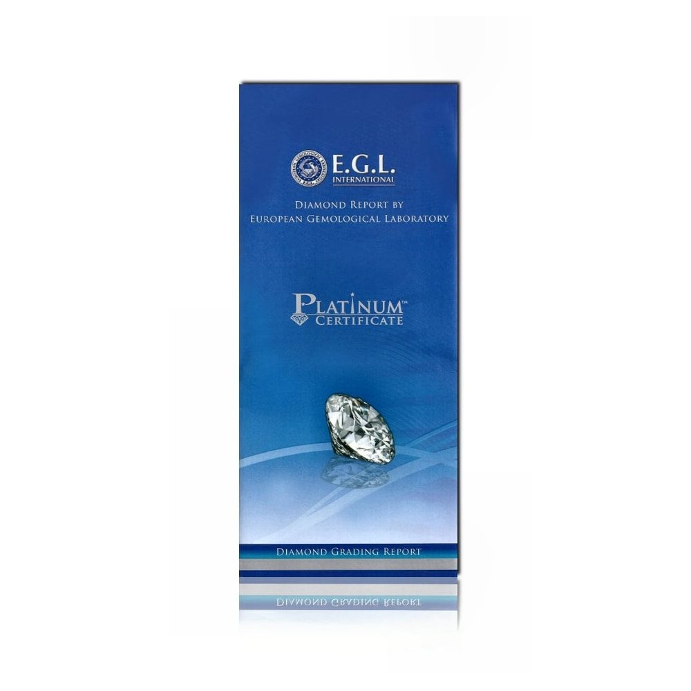 Platinum 1.01ct F VS2 EGL round brilliant cut diamond ring