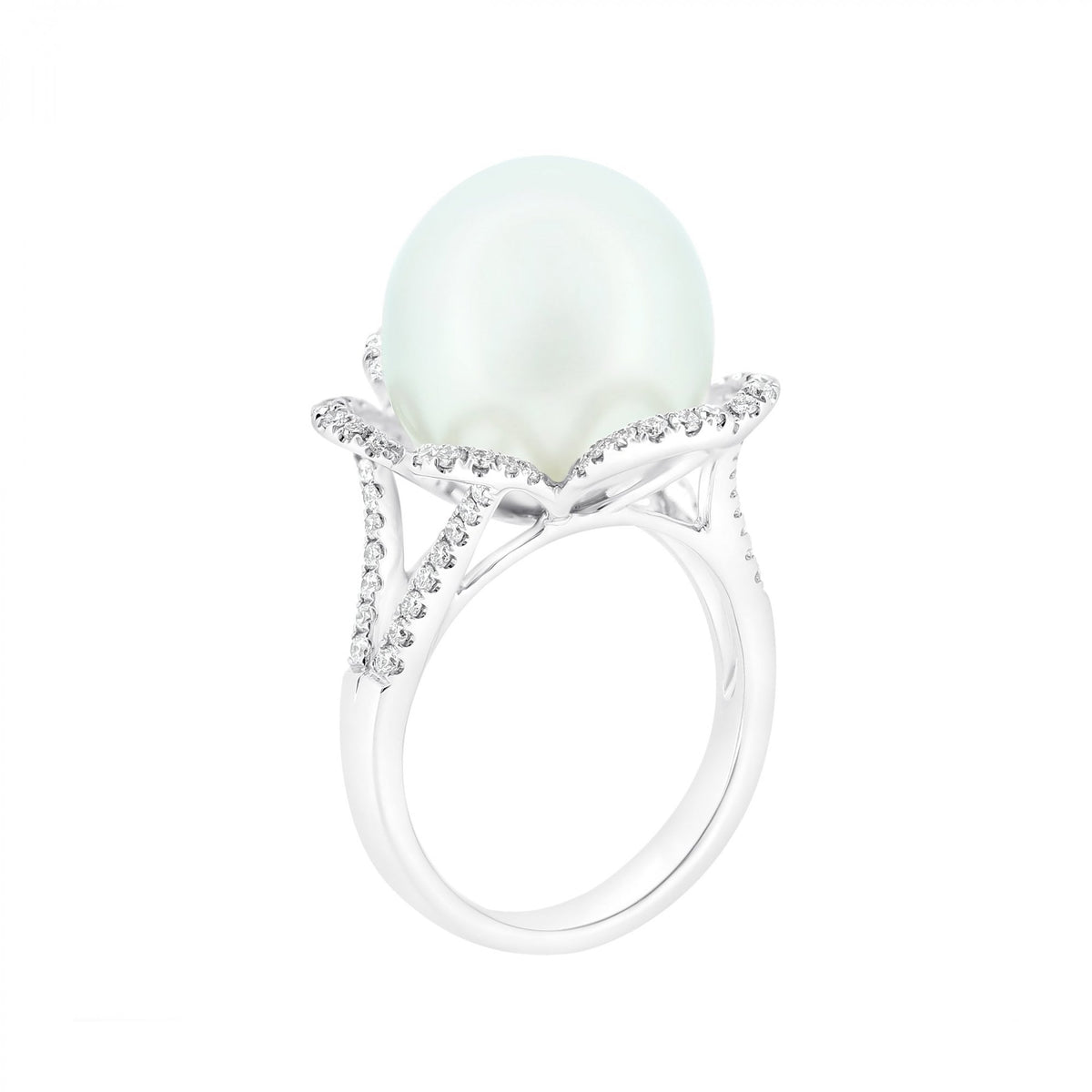 18ct white gold 13.9mm South Sea pearl & 0.50ct diamond ring