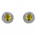 Precious Earrings